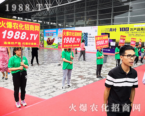     ���r(n��ng)�����̾W(w��ng)��2019�����r(n��ng)�Y�������G�ؼ����ի@�M�M