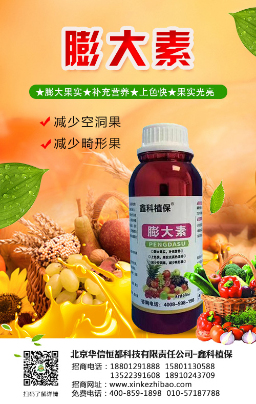 種植鳳眼果有幾點你是一定要注意的,否則想種好很難