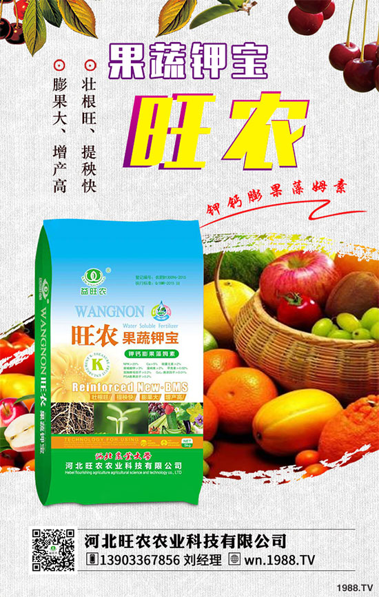 ��������ķNֲ�r�g������������������Ҫ�c����Щ��