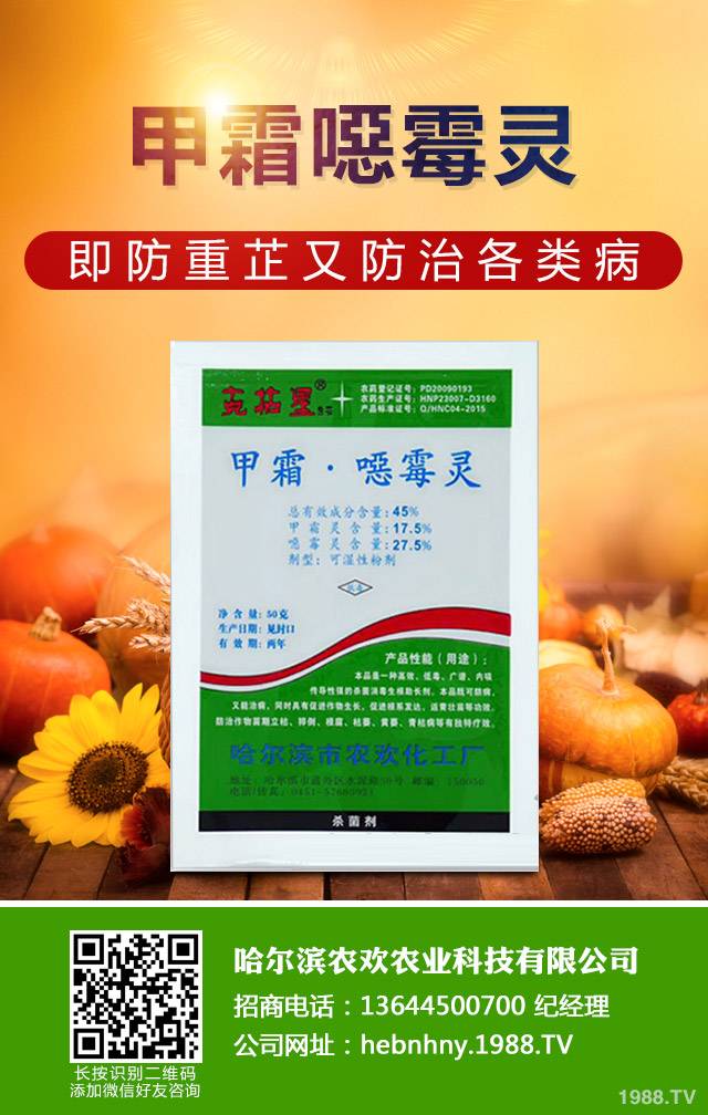 龍眼鬼帚病怎么辦?龍眼鬼帚病的防治方法