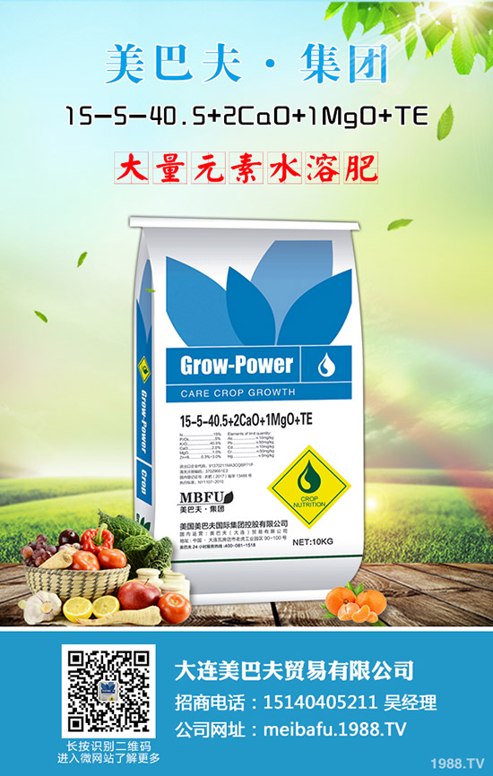     ���ڇ���(n��i)�Ј����@�r(ji��)�������߄ݷ����������A(y��)�y2019��8��24��