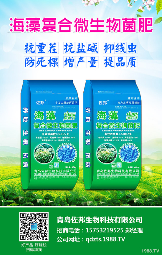 芹菜是日常生活中常見的蔬菜品種,對種植環(huán)境要求相對較高,只有在黏性土壤上才可以正常的生長。那么,芹菜什么時候種植比較好?大棚芹菜該如何種植呢?