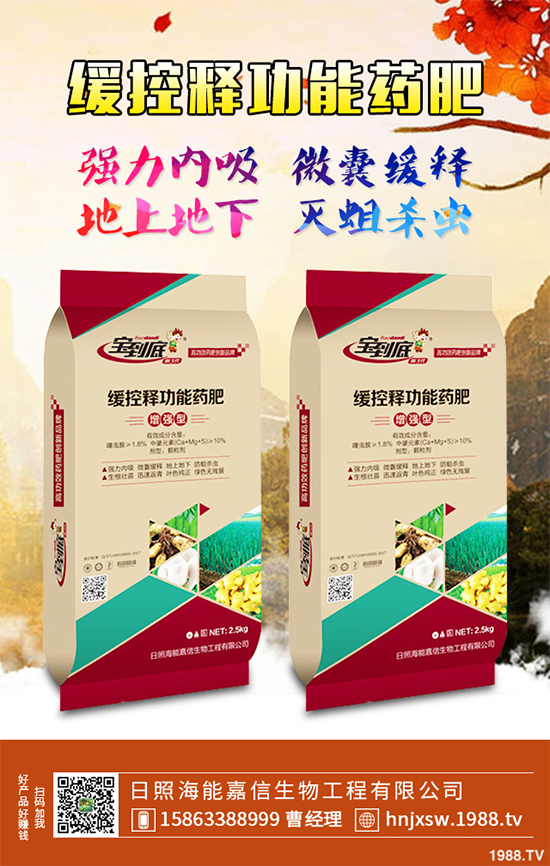 �۲�ԓ��ηNֲ��ע��Щʲô���۲˸߮a(ch��n)�Nֲ����