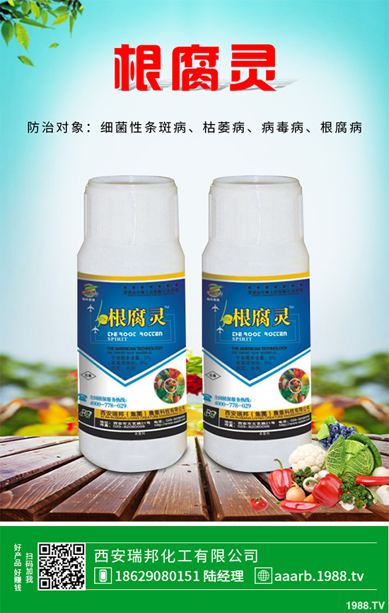     ��䚢�����r(ji��)��