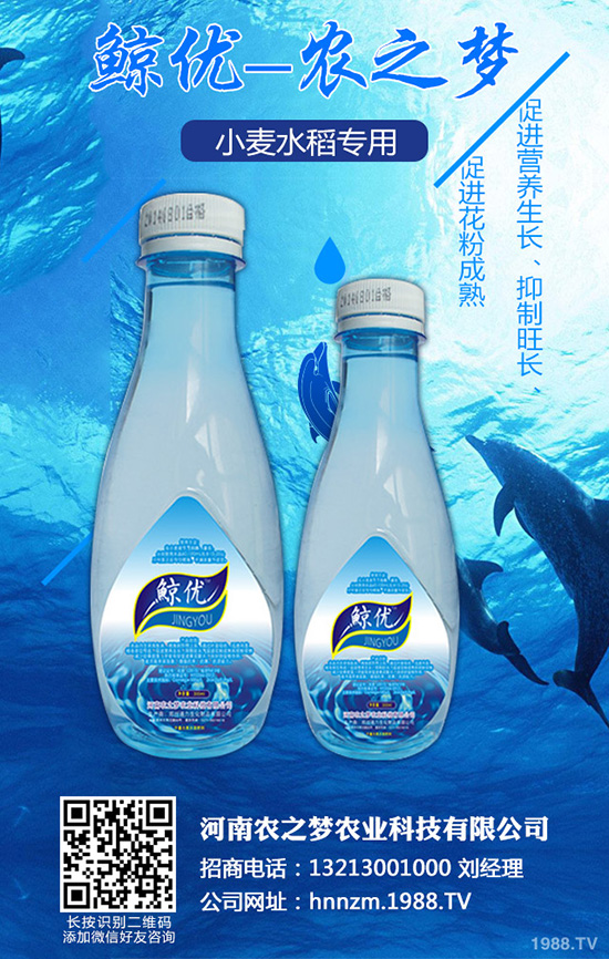 芹菜斑枯病有哪些危害?該如何防治?芹菜斑枯病的發(fā)生與防治