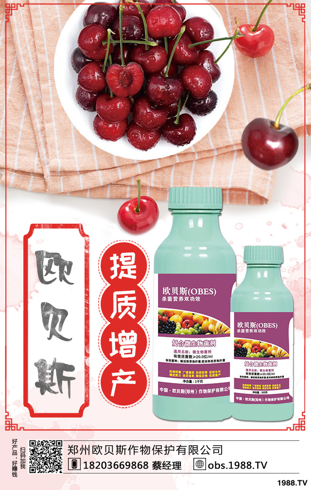 ��������ηNֲ������������༼�g