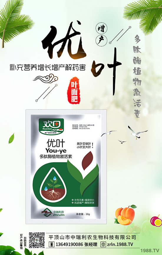 山藥什么時候種植?山藥高產(chǎn)種植技術要點!