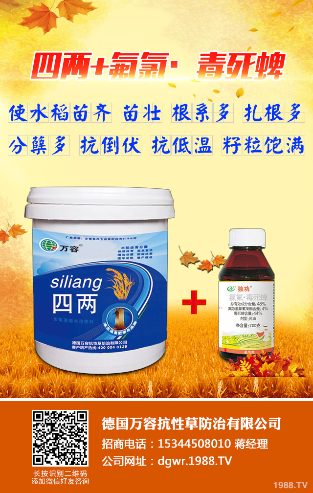 ��������݄�������Щ����������݄���B