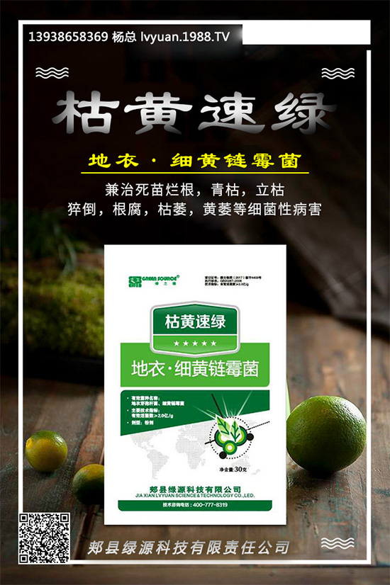 �۲����߲�����ЩΣ��������ΰl(f��)�������۲����߲��İl(f��)���c����