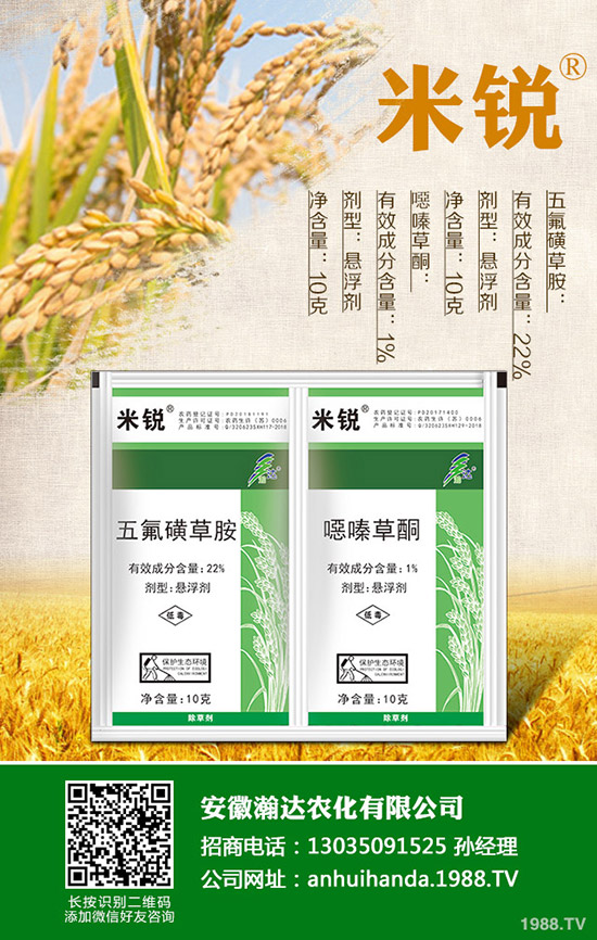 �Բ�������Щ��̎�����˵ĠI(y��ng)�B(y��ng)�r(ji��)ֵ����Щ��