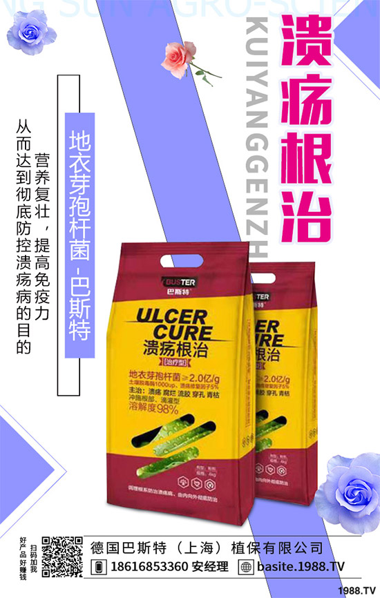 ������һ���Ǽ����Բ��������e���e����Ƚ���������������ɷ����Ν�������