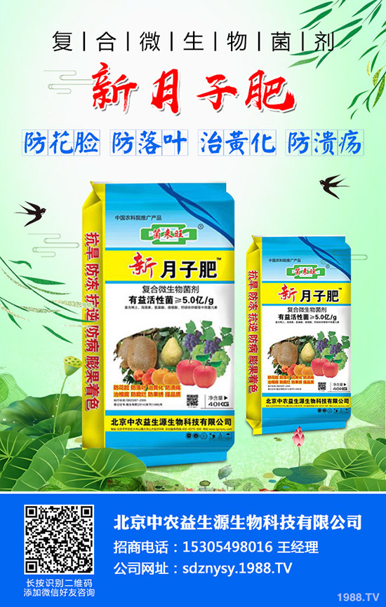 秋季大白菜什么時候種植合適?秋季大白菜的種植時間及種植方法