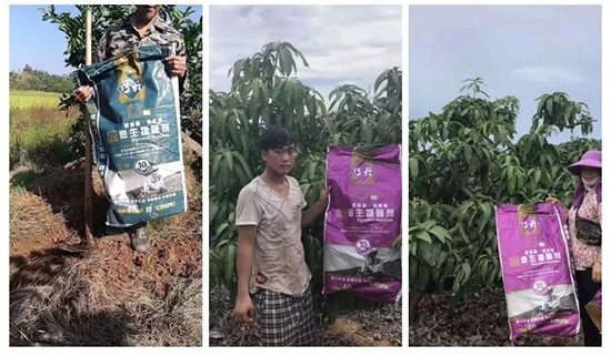 ��΢�������+�ЙC(j��)�ʡ�Ч��ţ����ʩһ������飬ʡ���ָ߮a(ch��n)��