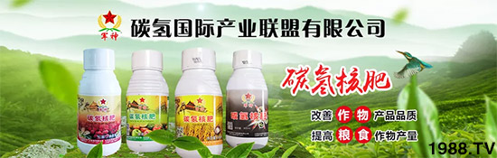 �ϰټ�ý�w��(b��o)�������쳬�^(gu��)�W��ʳƷ��(bi��o)��(zh��n)������̼?x��)�˷ʾ����@ô�𱬣�