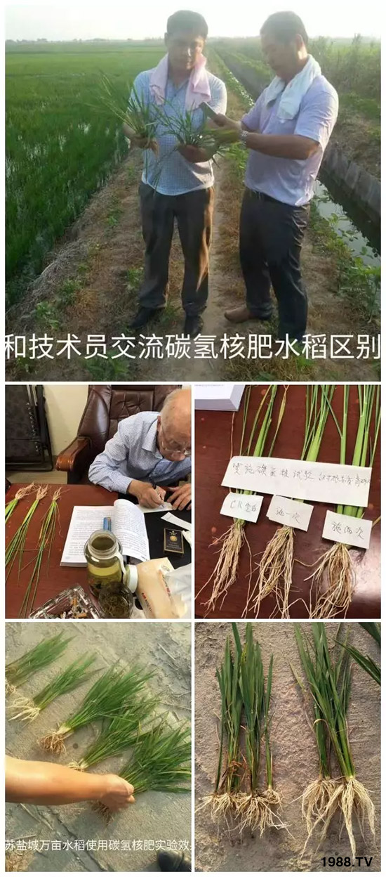 �ϰټ�ý�w��(b��o)�������쳬�^(gu��)�W��ʳƷ��(bi��o)��(zh��n)���̼?x��)�˷ʾ����@ô����