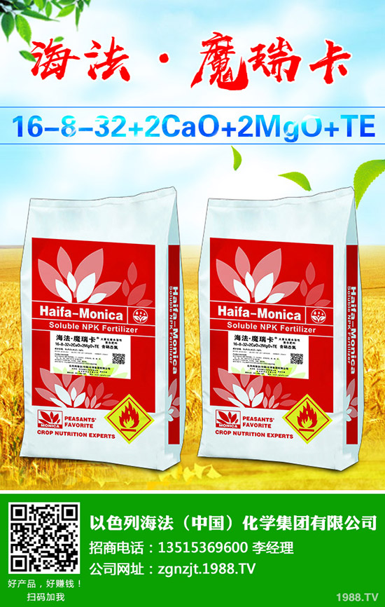     2019-9-10���Շ���(n��i)������@�r(ji��)���Ј������Ո�(b��o)