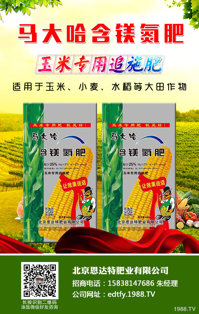 ���[��������ô���������[�������ɹ���