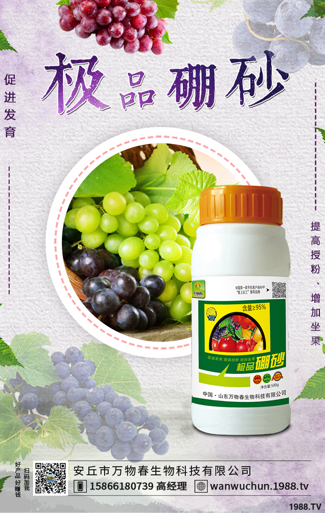 ����������ѵķ����������������ӷ�����������