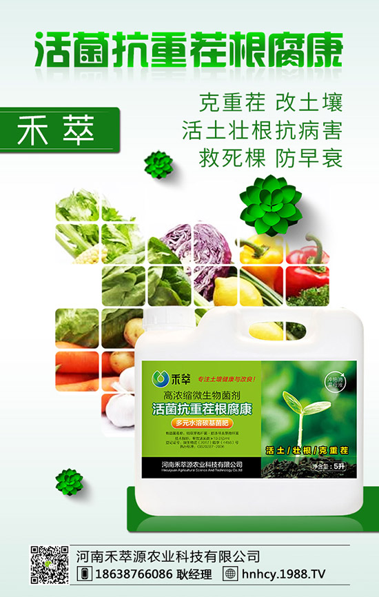 ����÷��ô�޽ӣ�����÷�޽ӷ�����