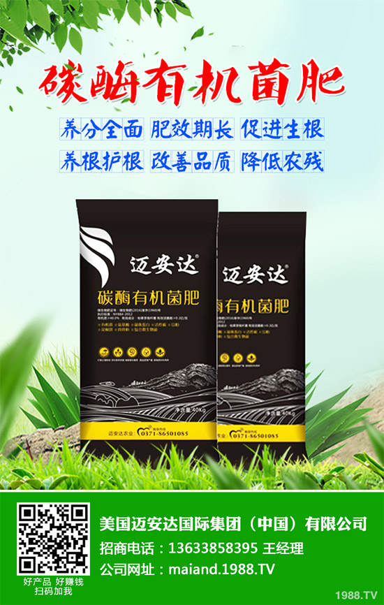 花椒樹的種植時間,花椒樹怎么種?