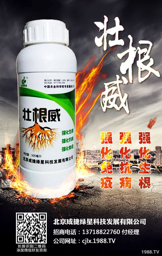 �ཷ�ķNֲ��������Щ���ཷ�Nֲ�^������Ҫע��Ď״��}