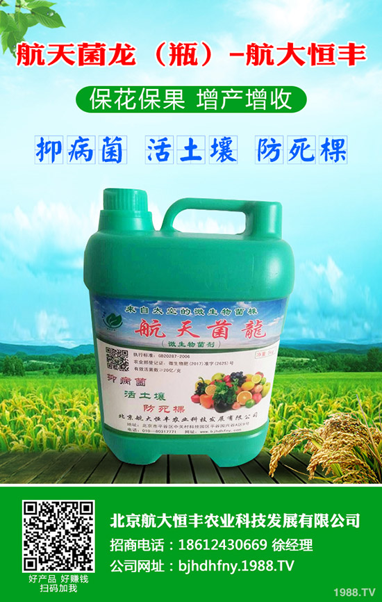 青蘿卜什么時(shí)候種植,青蘿卜栽培要點(diǎn)!