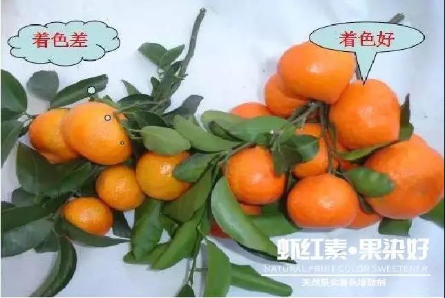 ��Ȼ����(sh��)��ɫ�����������r�t�ء��Ⱦ����