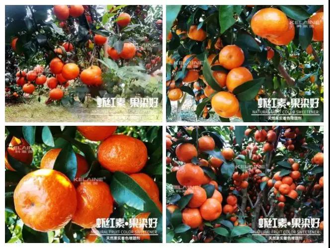 ��Ȼ����(sh��)��ɫ�����������r�t�ء��Ⱦ����