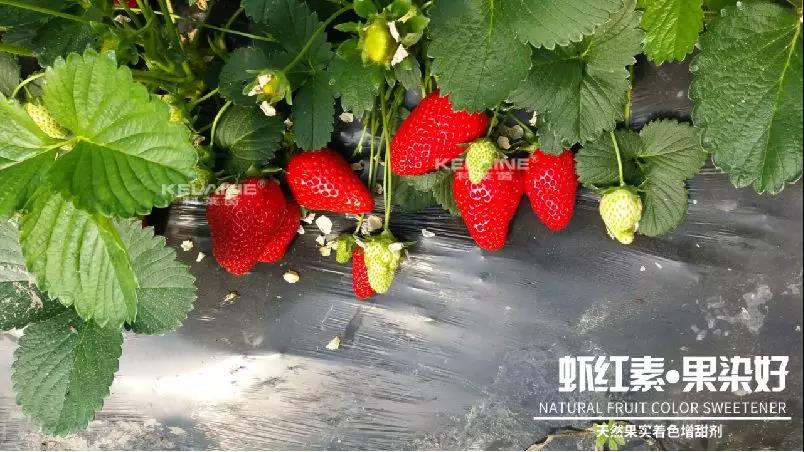 ��Ȼ����(sh��)��ɫ�����������r�t�ء��Ⱦ����