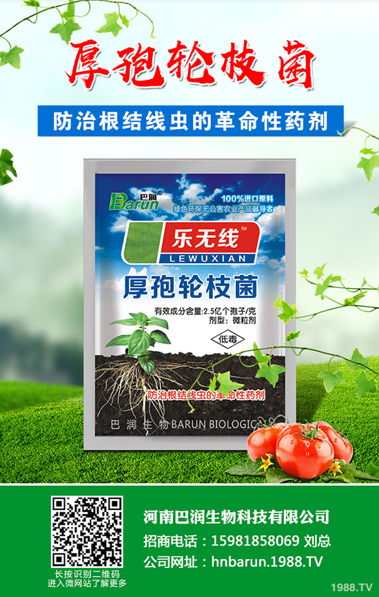 ��֦���~��ô�޼�����֦���~�޼�������