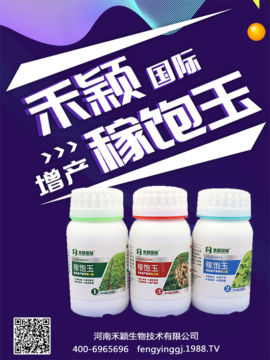 ����Nֲ���ի@�r(sh��)�g������Nֲ�����L(zh��ng)�h(hu��n)����