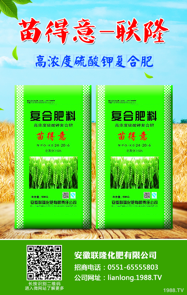 小麥怎么管理效果好?小麥成熟期田間管理