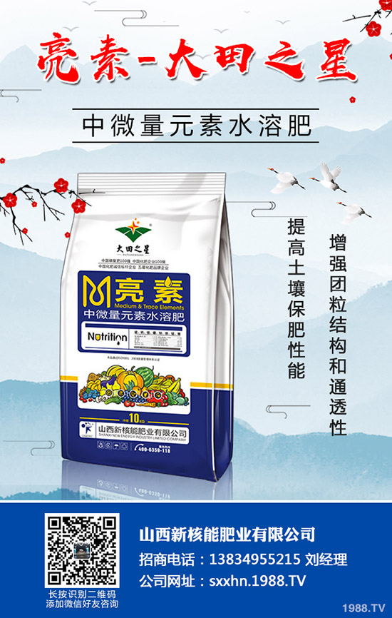 冬儲開始!最新國內(nèi)復(fù)合肥市場價格行情走勢分析2019-9-17