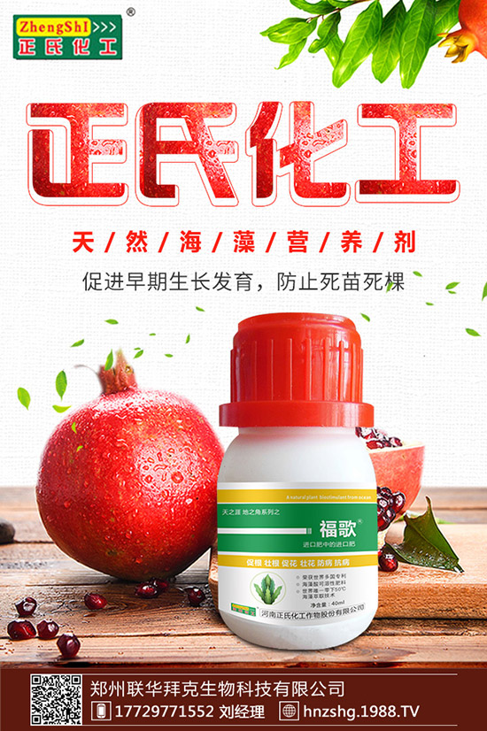 ���y����ʲô���ã����y���Ĺ�Ч�cʳ�ý�����