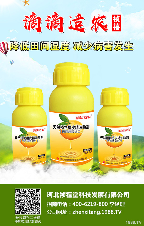 �＾��ݮ��ι������ܸ߮a(ch��n)���＾��ݮ��ֲ�������g(sh��)��