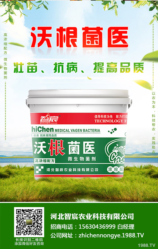 �Ծ��Ĳ�����Щ��̎�����Ĳ˵Ĺ�Ч��������