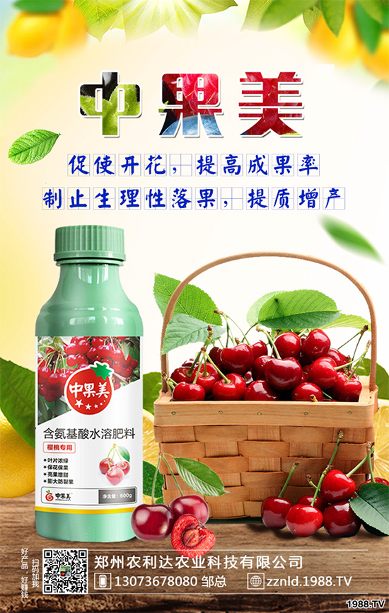 ��ʲô�r��N�Nֲ���𽷷NֲҪ�c��