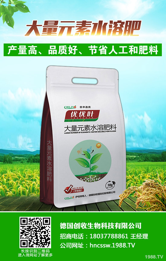     ���Շ���(n��i)���@�r�������߄��A�y�C���u��2019��9��18��