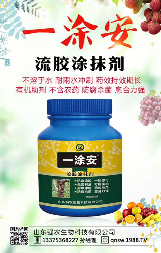 軟籽石榴品種有哪些?軟籽石榴的高產(chǎn)種植技術(shù)