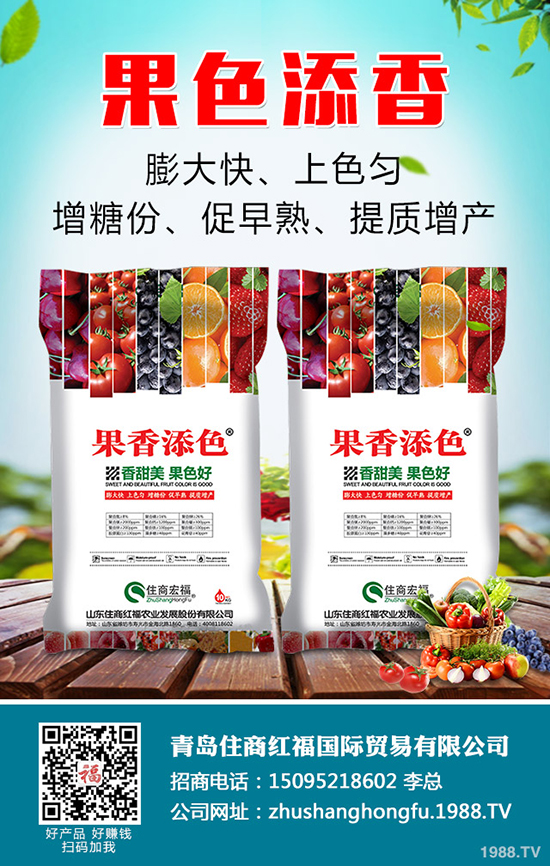     2019��9�³�����⛷��Ј��r����������������A(y��)�y