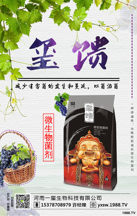     �������ӷNֲ�{ݮ���Nֲ�{ݮ��(y��ng)ԓע��ʲô��