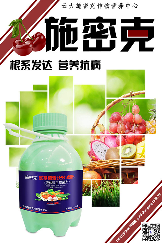 ���[˪ù��Σ���޴����������������������[˪ù�����δ�ʩ