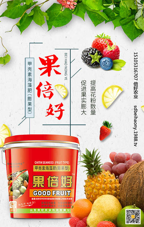 ʥŮ��ʲô�r�g�Nֲ��ʥŮ���Nֲ���g(sh��)Ҫ�c����Щ��