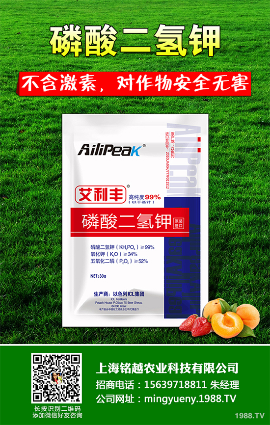 �㶹����������ЩΣ�����F(xi��n)��ԓ���ӷ��Σ��㶹���������η���