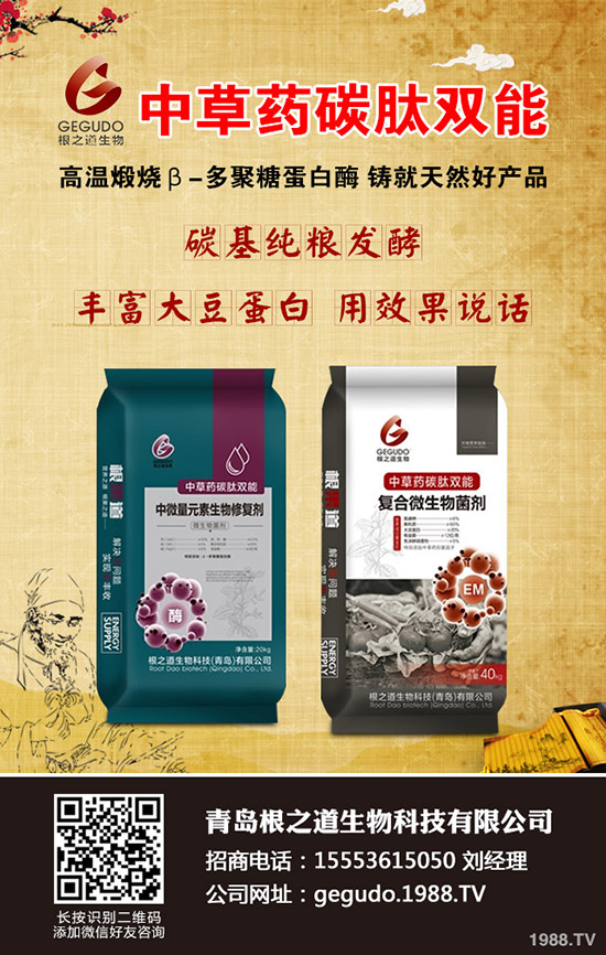     ����ʮ����ʲô����ע����헣����ӹ���������10�¹���ָ��(d��o)���h��