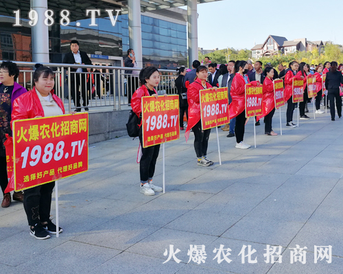 2019�|����ʡֲ���������r(n��ng)�����̾W(w��ng)����������