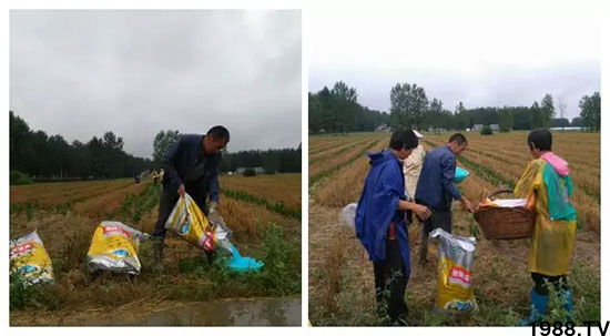 �ٿ���С�����a(ch��n)1471�����pø����ȫ������(j��)�����߮a(ch��n)������(d��ng)֮�o����