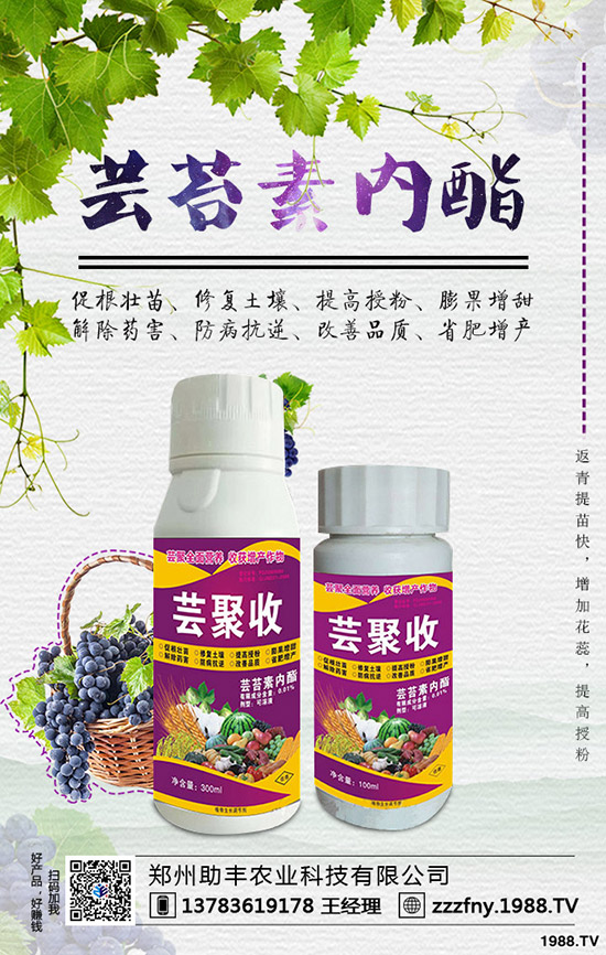 �J�������ժ�����J����ժ����ʲô��̎��