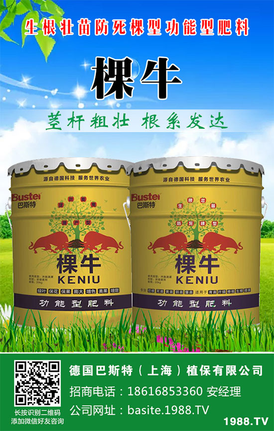 ���[���ʩ�������[�ƌW������ʩ�ʷ�����