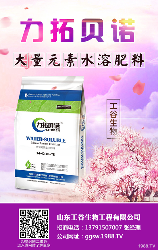     2019��9��3�ս��վֲ��^(q��)�������Ј�(ch��ng)�������